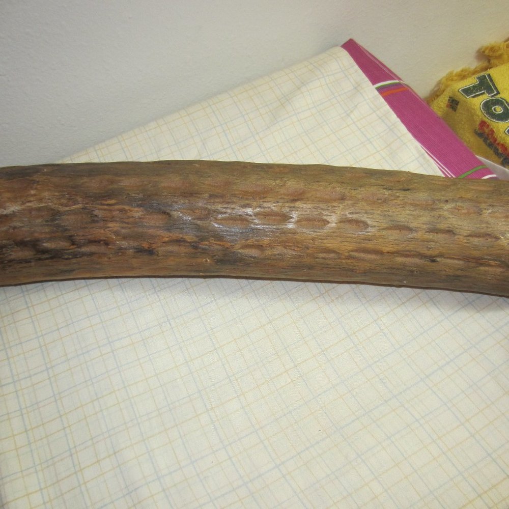VINTAGE CACTUS HOLLOW-LOG STICK -IT SHAKES INTRUMENT MUSIC